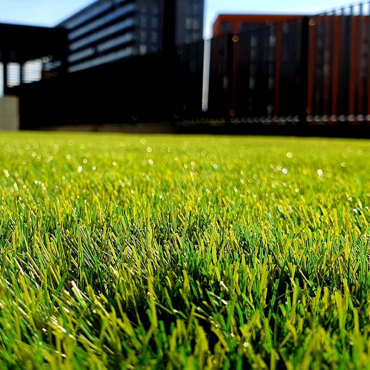 Prairie Garden